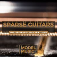 Ray Dixie - Sparse Guitars - Subtle Reflective Textures