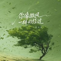 洛天依 - 你像微风一样的经过
