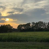 SICKBOY - consciousness