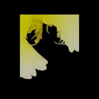 Low Signal - In My Mind I Can Find You