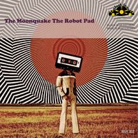 The Moonquake - The Robot Pad (Original Mix)