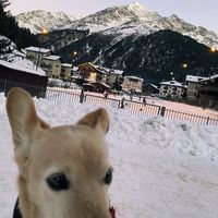 Davis - Overthinking (nebbia) (Explicit)