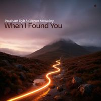 Paul Van Dyk, Ciaran McAuley - When I Found You