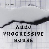 Abe Sibiya - Auro Progressive House