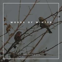 Josip Jovic - Words of Winter