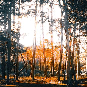 SAD - DAYS (Explicit)