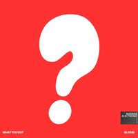 Bloom - What You Got