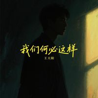 王天阳 - 我们何必这样