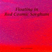 Patrick von Wiegandt - Floating in Red Cosmic Sorghum