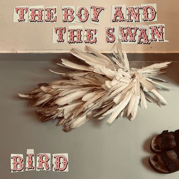Bird - The Boy And The Swan