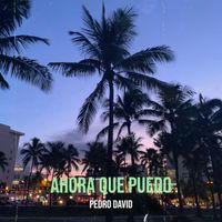 Pedro David - Ahora Que Puedo