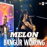 Melon - Bangur Wurung