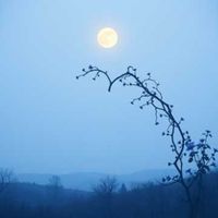 Susanti - Kita Pernah Berjanji