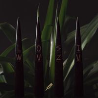 Losi - Wuzu