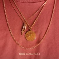 bitbird - Gouldian Finch 3