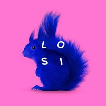 Losi - SQUIRREL