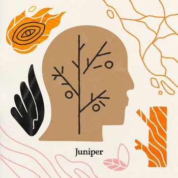 Zes - Juniper