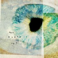Flaws - The Mind's Eye
