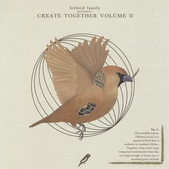 bitbird - create together vol.2 (Explicit)