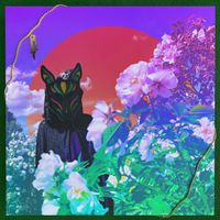 Slow Magic - OPEN
