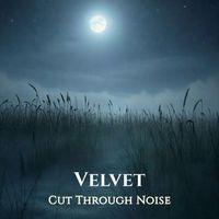 Cut Through Noise - Velvet