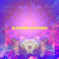 Blackbird Blackbird - Dreamstuck