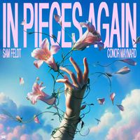 Sam Feldt - In Pieces Again
