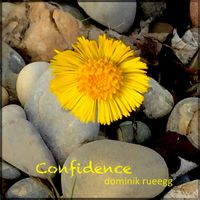 Dominik Rueegg - Confidence