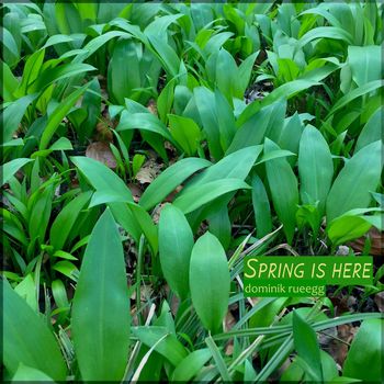 Dominik Rueegg - Spring Is Here