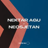 Nektar Agu - Neosjetan