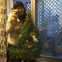 SHOKO - A Happy X'mas For All Beings