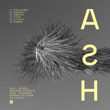 Loscil - Ash