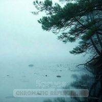 chromatic reflections - Spruce