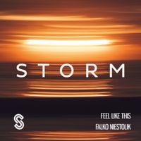 Falko Niestolik - Feel Like This