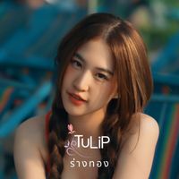 Tulip - ร่างทอง