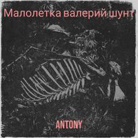 Antony - Малолетка валерий шунт