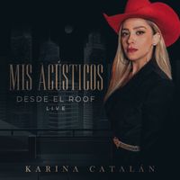 Karina Catalán - Mis Acústicos Desde El Roof (Live Session)