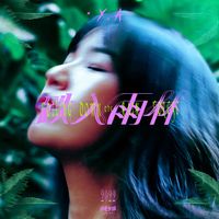Y.A. - 跌入雨林