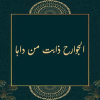 El Hadj M'hamed El Anka - الجوارح ذابت من داها (Live)