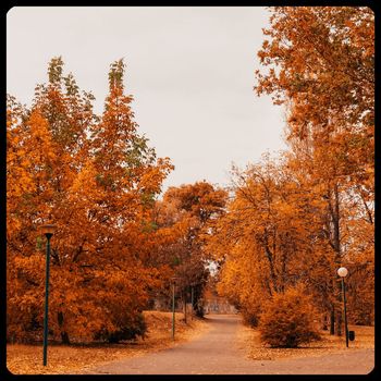 Benjamin Taylor - Fall into Me