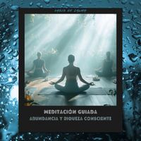 Oasis de Calma - Meditación Guiada: Abundancia Y Riqueza Consciente