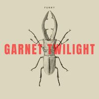 Funny - Garnet Twilight