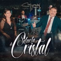 Los Terricolas - Silueta De Cristal