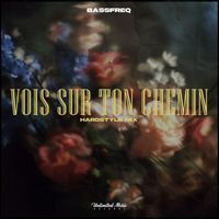 Bassfreq - Vois sur ton chemin (Hardstyle Mix)