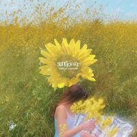Emilia Vaughn - Sunflower
