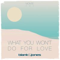 Blank & Jones - What You Won't Do for Love (Monte Remixes)
