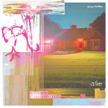 SKIN - <3felt (Explicit)