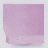 Igor - We Slapen In De Lucht