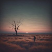 NIC - Stillness