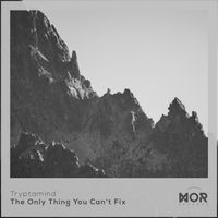 Tryptamind - The Only Thing You Can't Fix